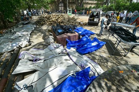 коронавирус, индия, трупы