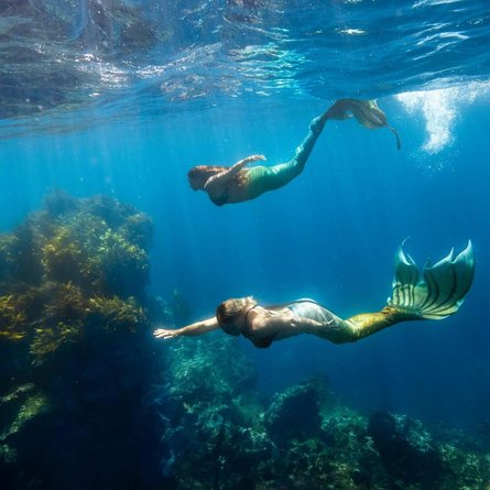 Бренди Энтони стала русалкой, необычное хобби, интересная работа, женщина купила хвост за 6 тысяч долларов, курьезы, приколы