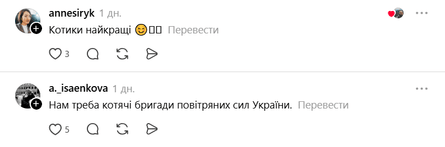 У мережі прокоментували відео з котиком