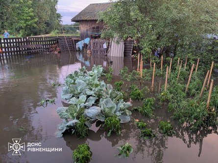 Дощі на заході України сьогодні