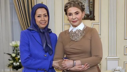 Юлія Тимошенко, зустріч, закордон, поїздка, Париж, Іран, 11 січня