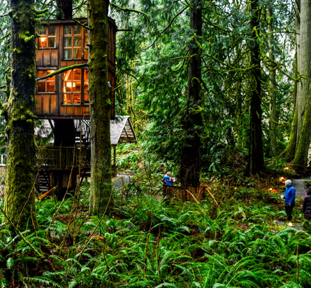 Домики на дереве в США, отель Treehouse Point, домики посреди леса, интерьеры, уникальные локации, путешествия, туризм