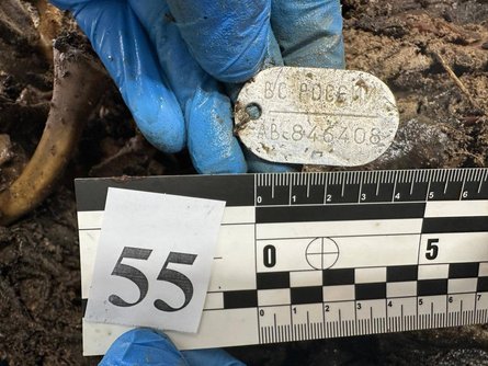 жетоны ВС РФ, обмен телами, российская армия