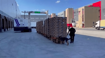 Чехия контрабанда кокаин наркотики бананы упаковки таможенники супермаркеты