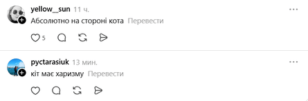 Котик насмішив мережу