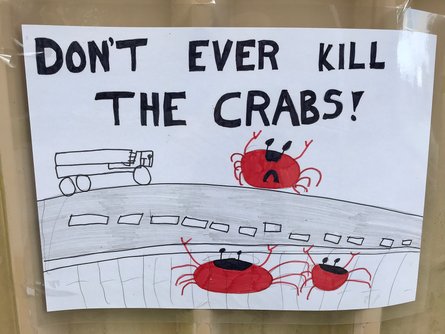 міграція крабів, Австралія, захист крабів
