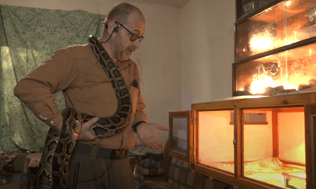 питон, купянск питон, 3-метровый питон