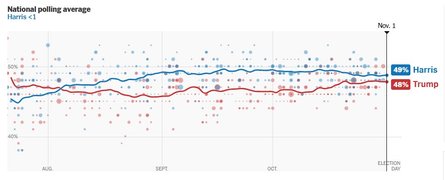 Вибори президента США 2024, виборці США, розподіл голосів, позиції