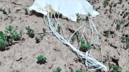 парашут, поле, фото