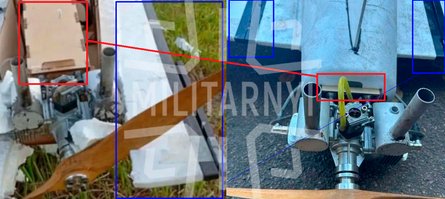 Гербера Польща