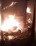 "Все горит": россияне атаковали дронами приют для собак под Одессой (видео)