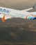 Пилот Boeing 737 возможно пытался покончить с собой: подробности об инциденте на рейсе из Дубая (видео)