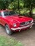 В заброшенном сарае нашли раритетный Ford Mustang 60-х: он 40 лет стоял на месте (фото)