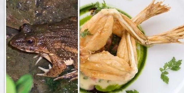 Рецепт: Лягушки по - китайски - с чесноком и перцем