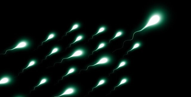 Как конопля на сперму влияет следующий день марихуана