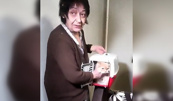 Раненые дети и животные среди осколков: мэр Харькова рассказал о последствиях удара "Искандера" (видео)