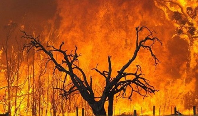 На Россию движется пожар со стороны Казахстана