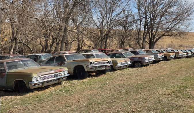 Огромная секретная коллекция из 450 авто ржавеет под открытым небом (фото, видео)