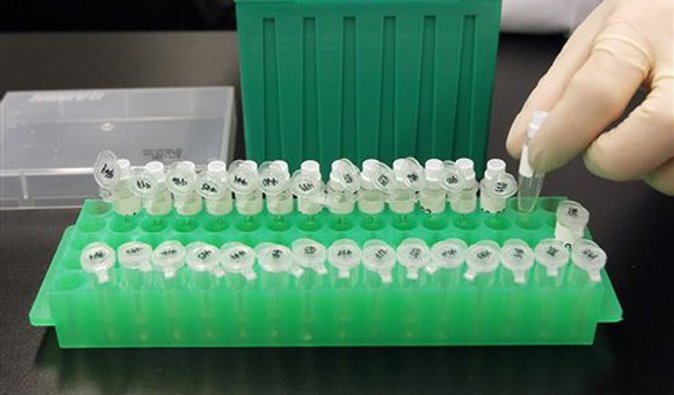 Продуктов с ГМО в Украине стало в семь раз меньше - статистика