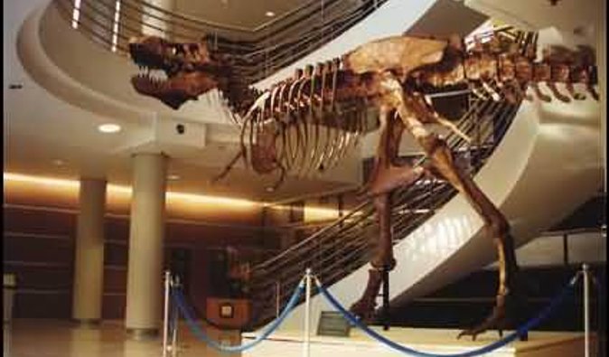 Ученые доказали, что клонировать динозавров невозможно