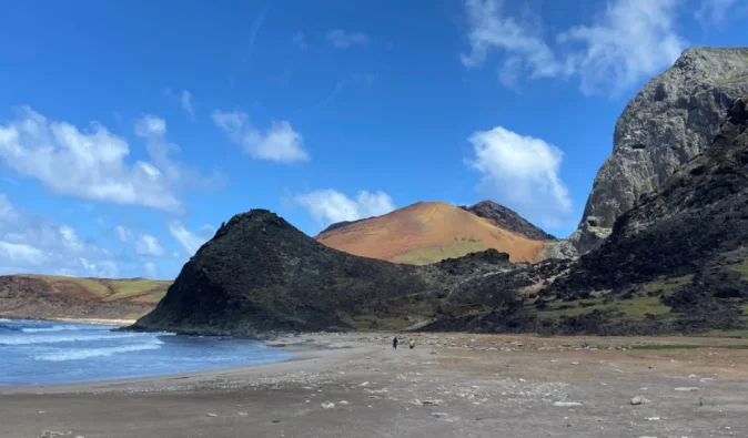 Черепахи откладывают яйца среди пластиковых "камней": ученые обнаружили тревожные изменения (фото)