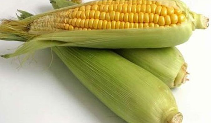 Украина потребует извинений за диоксиновый скандал