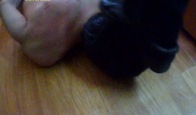 Адвокат украинских политзаключенных в РФ сообщил о пытках и рассказал об их состоянии (фото)