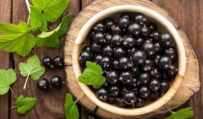 Чорна смородина: 4 причини, чому варто вживати цю ягоду