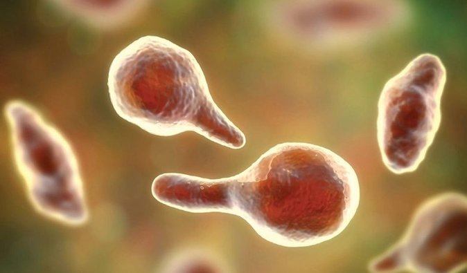 На МКС щось дивне сталося з вірусами: вони стали більш небезпечними (фото)