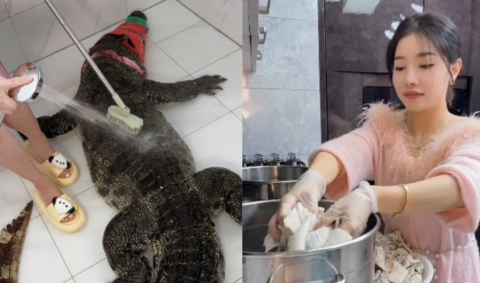 Потрапила в скандал: блогерка розрізала і приготувала 90-кілограмового алігатора (фото)