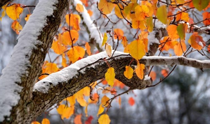 Перший сніг і друге "бабине літо": якою буде погода у жовтні в Україні