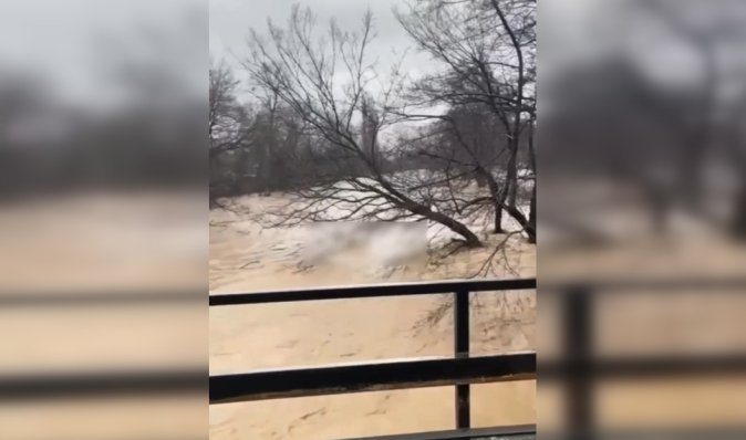 Заливает дома и автодороги: на Закарпатье началось наводнение из-за оттепели (видео)