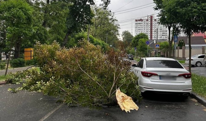 Повалені дерева та знеструмлені електрички: Києвом пронісся потужний ураган (фото, відео)