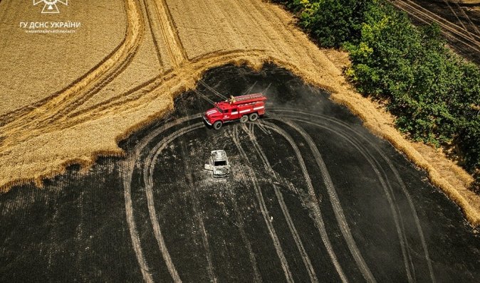 Горять поля з пшеницею: Миколаївську область охопили масштабні пожежі, — ДСНС (відео)