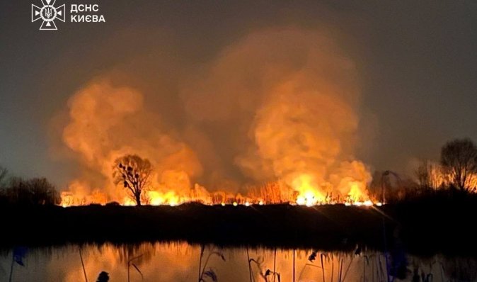 У Києві сталася пожежа на Осокорках: загорілися три гектари трави й очерету (фото, відео)