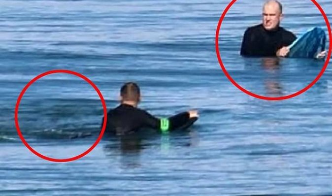 Атака акул в Австралії: серфер сфотографувався і за мить залишився без ноги (фото)