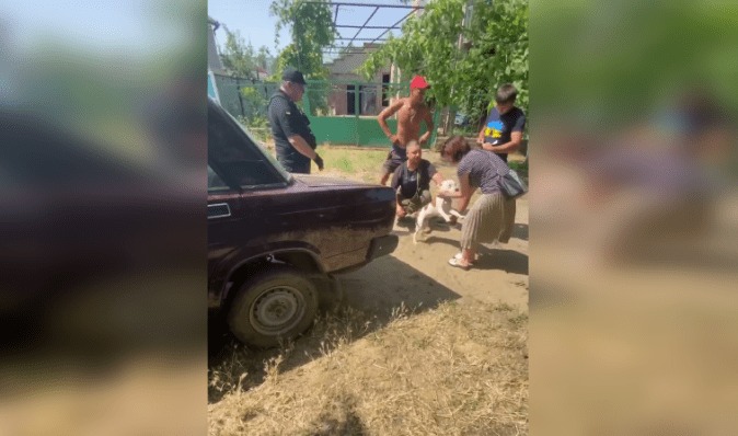 Вимагали викуп: на Одещині у військовослужбовця викрали домашнього улюбленця (відео)