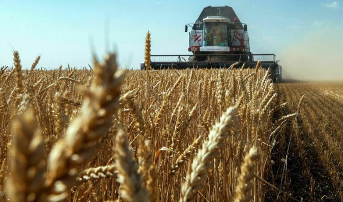 На полпути к компромиссу: в Европейском Союзе готовят сделку для транзита украинского зерна