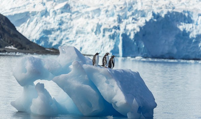 Битва за Антарктиду. Почему ученые считают, что на белом континенте может грянуть Апокалипсис