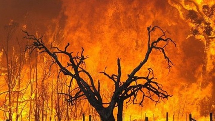 На Россию движется пожар со стороны Казахстана