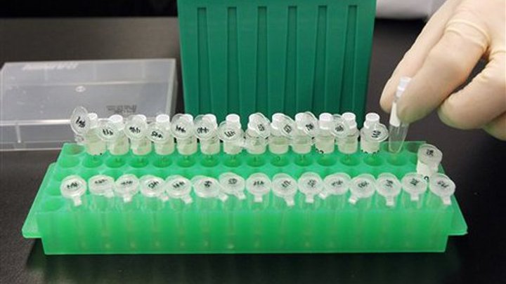 Продуктов с ГМО в Украине стало в семь раз меньше - статистика