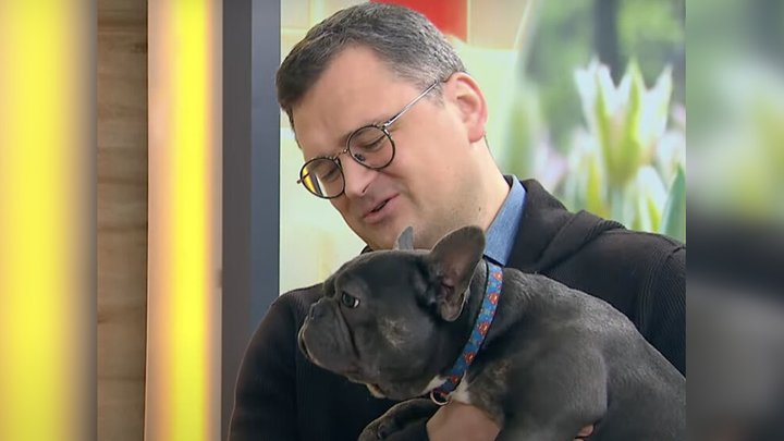 Ексглава МЗС Кулеба показав, як його собаки злякалися удару РФ по Києву (фото)