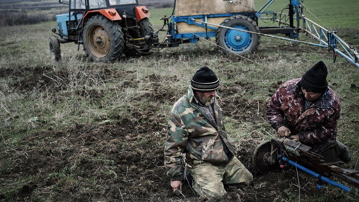 Снаряды, мины и трупы оккупантов: почему открытие рынка земли не дает результатов (видео)