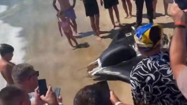 В Одессе на берег вынесло обломки дрона: ребенок утащил с собой часть беспилотника (видео)