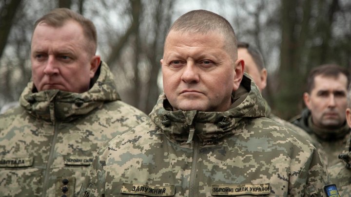 У Залужного проводили обыски во время контрнаступления ВСУ на Харьковщине: в СБУ отреагировали