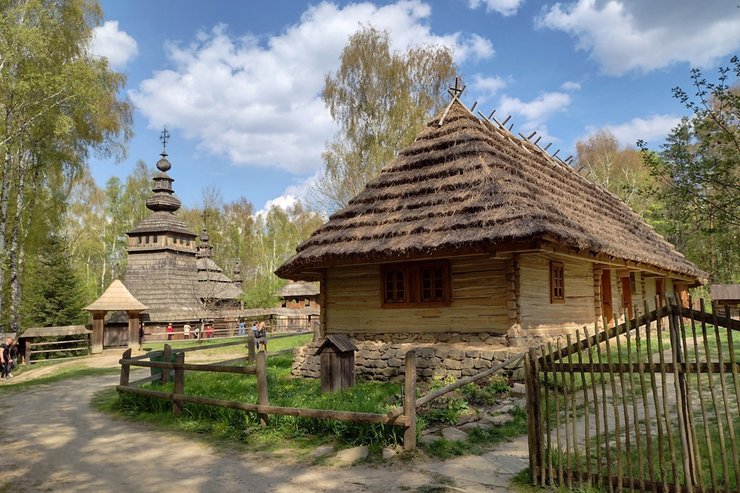 Как выглядит Шевченковский гай Что известно о Шевченковском гае
