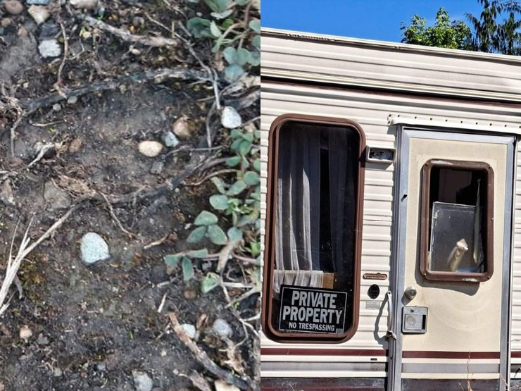 Нападение снежного человека, йети, йети напал на дом, след йети, след снежного человека, снежный человек ест яблоки, кормит яблоками, разнес дом,