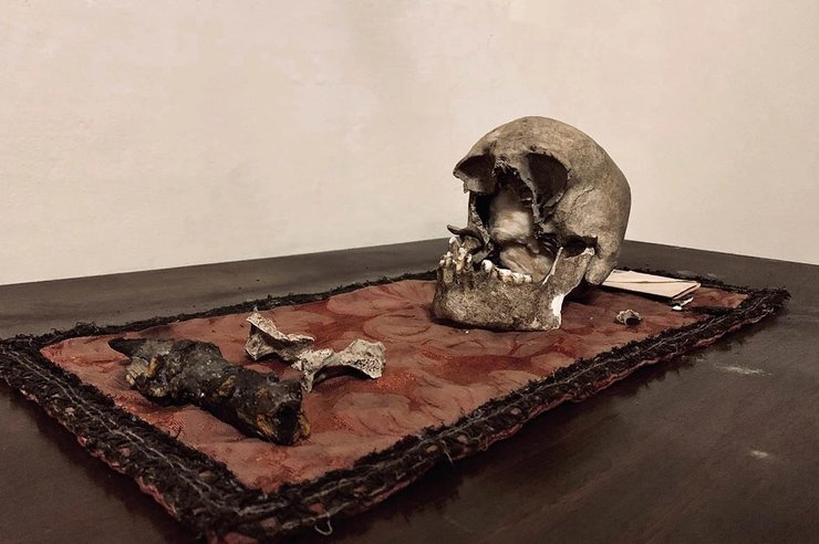 плиний старший, череп, жертвы везувия, извержение везувия