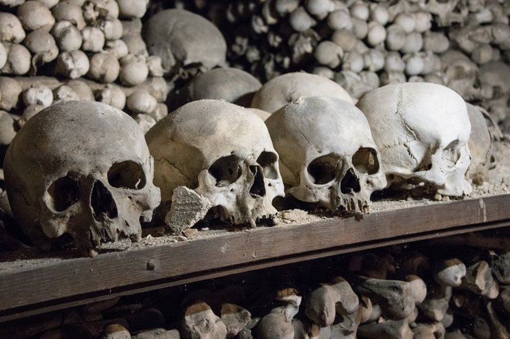 история, чехия, Костница в Седлице, храм из костей, человеческие останки, исследования