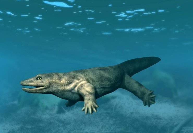 Whatcheeria, динозавр, хижак